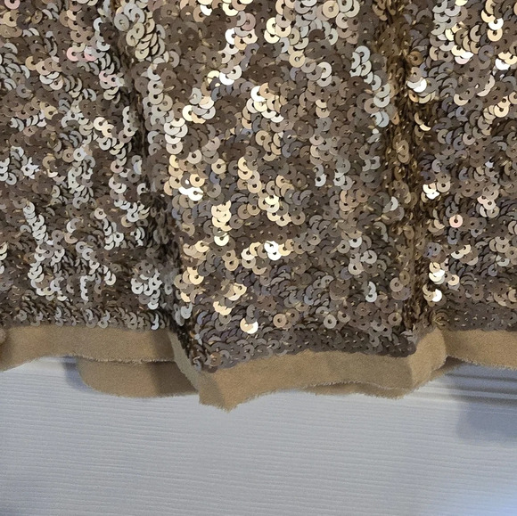 Talbots Woman's NWT GOLD  SS Sequin Silk Lined  Blouse Sz 10P - Picture 9 of 12